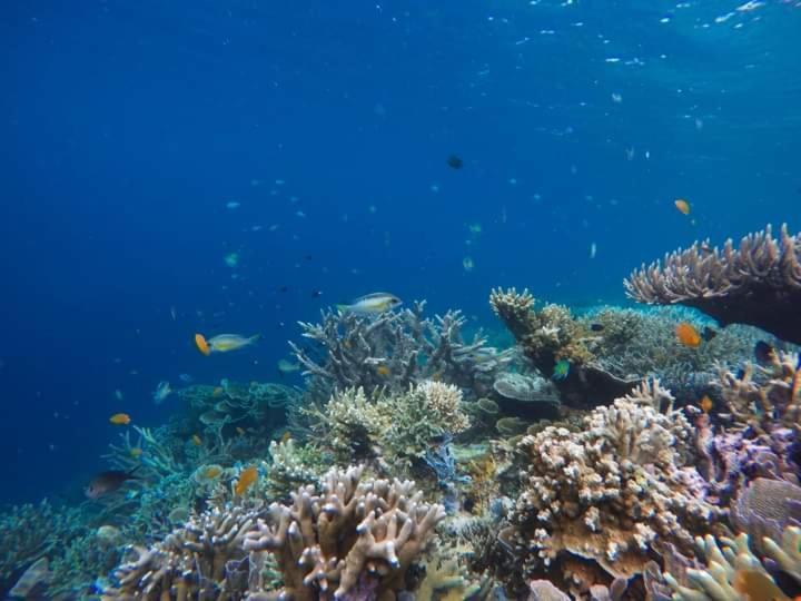 Mambetron Homestay Raja Ampat Pulau Mansuar エクステリア 写真