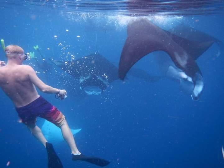 Mambetron Homestay Raja Ampat Pulau Mansuar エクステリア 写真
